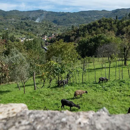 Belvilla By Oyo Castello Di Argigliano 1